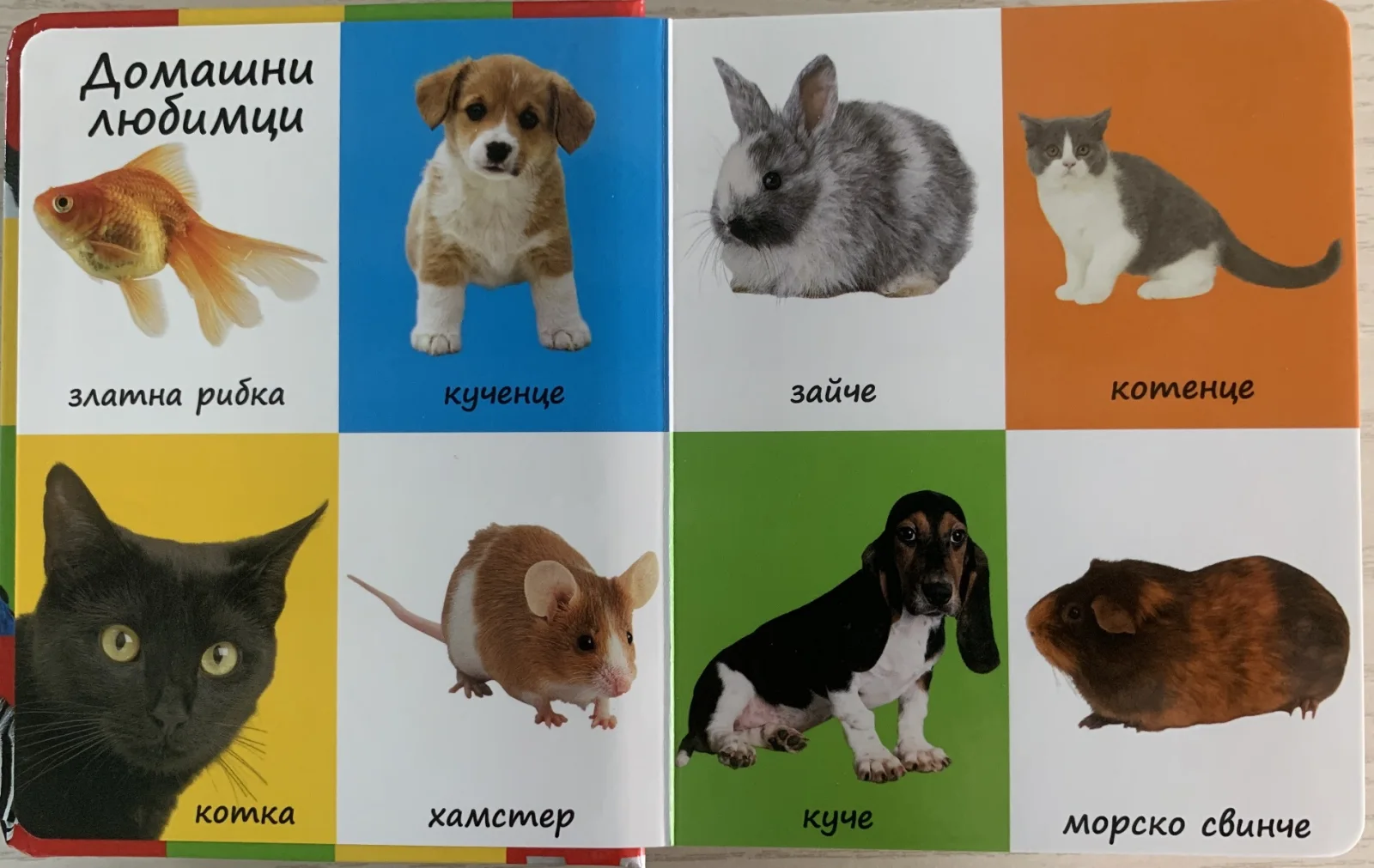 Punipon Първите 100 животни-24стр,твърди корици