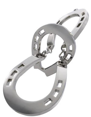 Hanayama Huzzle Cast Puzzle Horse **