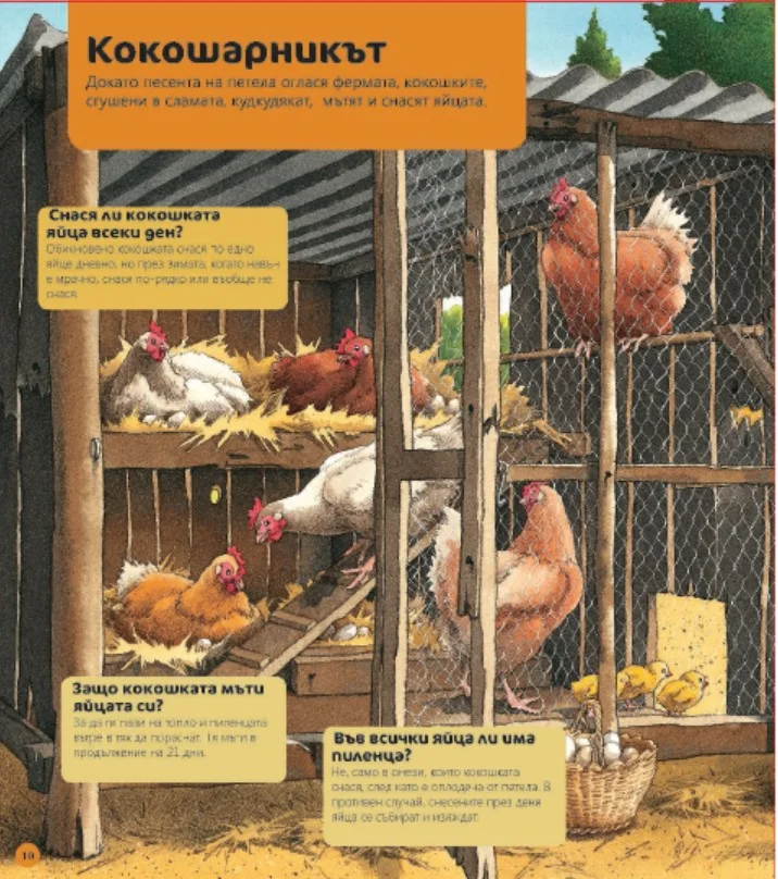 Фермата - Детска Енциклопедия с Въпроси и Отговори - твърди корици