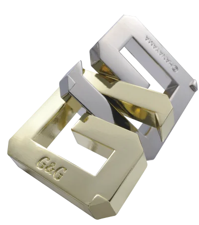 Hanayama Huzzle Cast Puzzle G&G ***